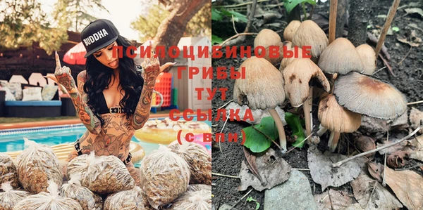 альфа пвп Нея
