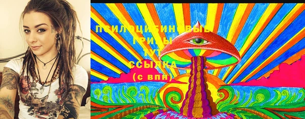 гидра Алексин