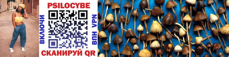 Галлюциногенные грибы MAGIC MUSHROOMS  Щигры 