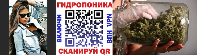 Конопля ГИДРОПОН  Щигры 